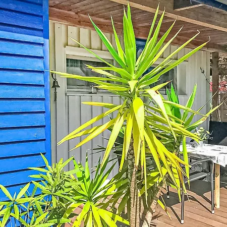 Koelpinseeusedom 펜션 *